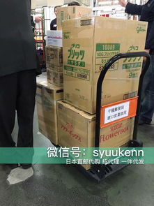 日本正品直郵與現(xiàn)貨 開啟國內(nèi)貿(mào)易代理新機(jī)遇