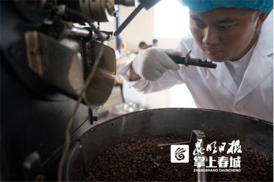 數字農業來了！798名貧困戶在云南大山變身新農商，一場咖啡產業變革由此開啟